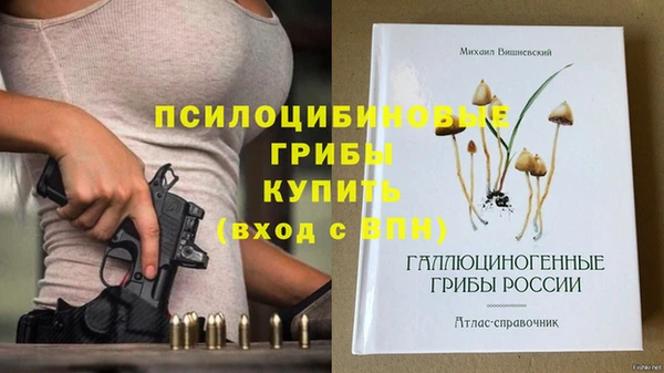 стаф Семикаракорск