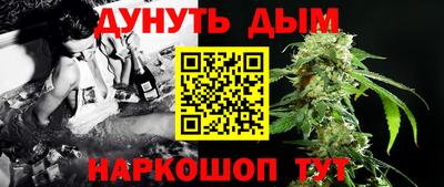 сатива Аргун