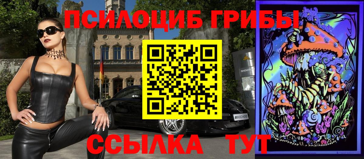 Галлюциногенные грибы Cubensis  Псилоцибиновые грибы MAGIC MUSHROOMS  купить   Чебоксары 